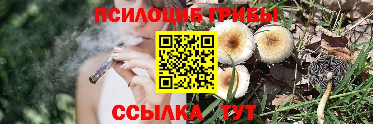 Псилоцибиновые грибы Cubensis  Вход с VPN  Сосновоборск  Псилоцибиновые грибы Psilocybine cubensis 