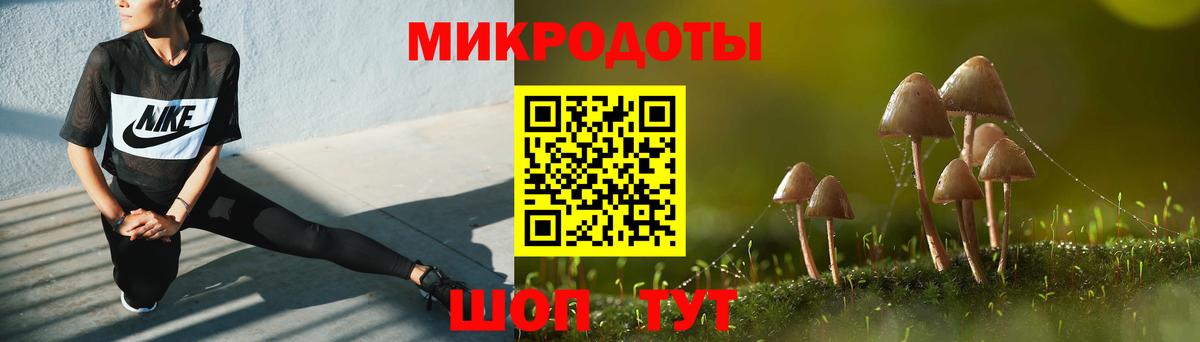 Псилоцибиновые грибы Cubensis Сосновоборск